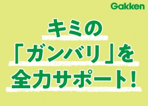 Ｇ-ＰＡＰＩＬＳ各務原那加校